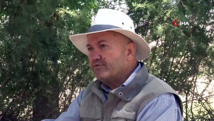 4 bin yıl öncesinin ev sahipleri aranıyor