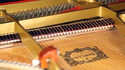 The Fray - "How To Save A Life" (Corey Gray - Piano Cover) - Official Music Video