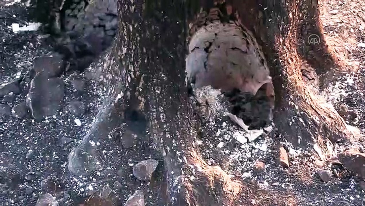 ANTALYA - Kaş'ta çıkan orman yangınları kontrol altına alındı (2)