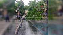 İzmir’de sağanak yağış ve fırtına ortalığı savaş alanına çevirdi