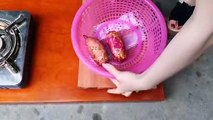 Adela Makes Delicious Fried Sweet Potato, Pupate Shape