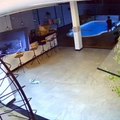 VÍDEO | Menino pula em piscina para salvar cachorro na Serra