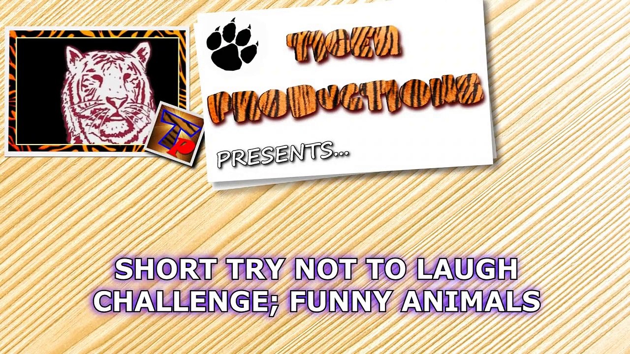 Funny Memes Compilation - Indian Viral Memes - Trending Memes, funny memes 2021