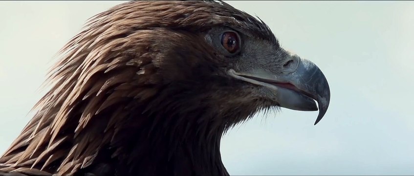 Ali KINIK - Tanrı'nın Ordusu ( ...Ve Yorgun ...Ve Yolcu)