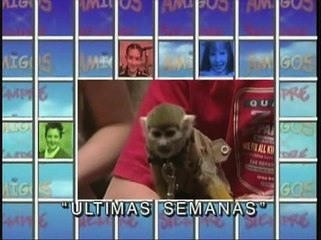 Amigos x Siempre Capitulo 100
