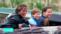 Princess Diana's Adventures With Prince Harry and Prince William