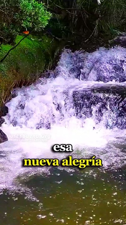 Dios te dice hoy: En este día quiero darte esa fortaleza que estás necesitando