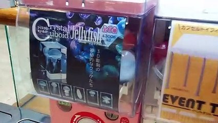 Flying Game in Japanese Airport