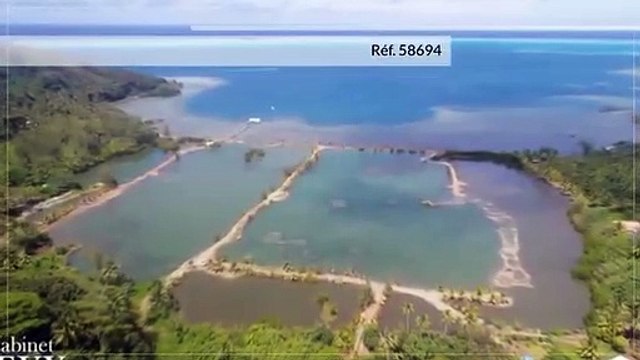 A vendre terrain de 11 Hectares à Tahaa (Idéal culture, agriculture)