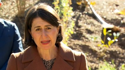 NSW Premier defends timing of lockdown decision