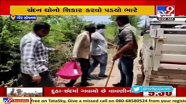 Farmer nabs a poacher hunting monitor lizard, Forest dept arrives at the spot. Gir-Somnath _ TV9News