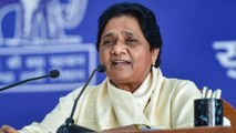 BSP to fight solo in UP, Uttarakhand elections, says Mayawati