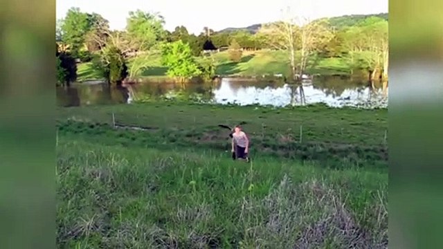Funny animal attacks Birds went crazy Birds attack humans