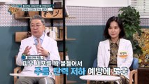 노화 증상을 늦출 수는 비결은 바로 ★어류 콜라겐★ TV CHOSUN 20210627 방송