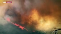 Bingöl'de orman yangınına müdahale sürüyor