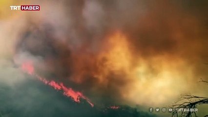 Bingöl'de orman yangınına müdahale sürüyor