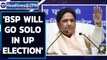 BSP to go solo in UP & Uttarakhand state polls; Mayawati says no tie-up with AIMIM | Oneindia News