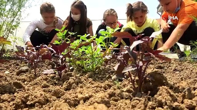 Muhteşem dönüşüm... Daha önce hiç böyle bir köy okulu görmediniz!