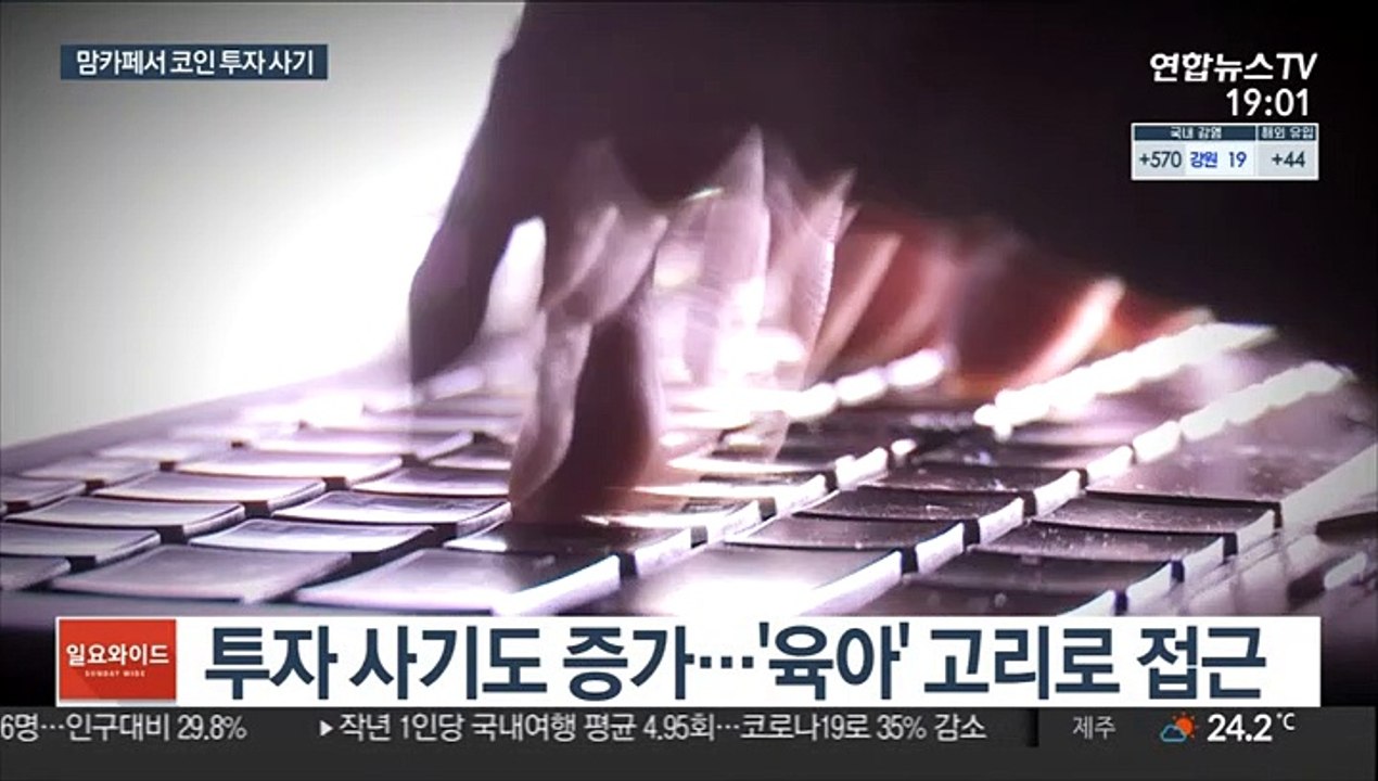 맘카페 투자 사기 극성…'육아' 고리로 접근