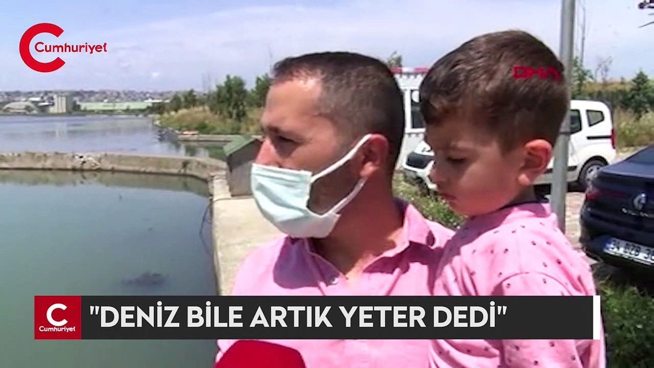 Büyükçekmece Gölü'nün rengi değişti, ölü balıklar kıyıya vurdu