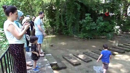 Dağılcak Tabiat Parkı doğa tutkunlarının akınına uğradı