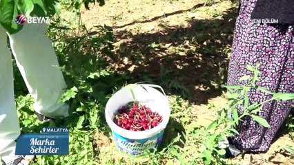 Marka Şehirler 27 Haziran 2021