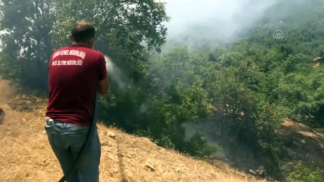 BİNGÖL - Ormanlık alanda çıkan yangına müdahale sürüyor