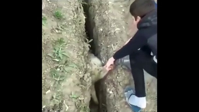 فيديوهات مضحكة 2021-Funny videos 2021