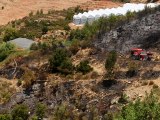 Son dakika haberi! Alanya'da çıkan orman yangını ekiplerin müdahalesiyle söndürüldü