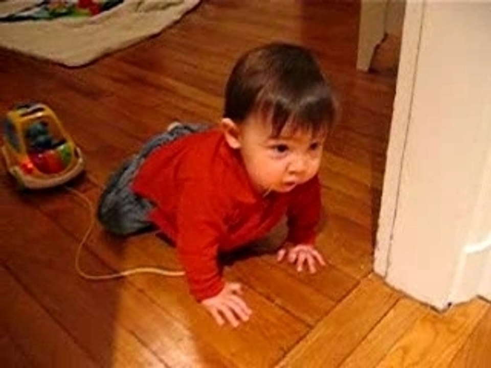 Marche à quatre pattes