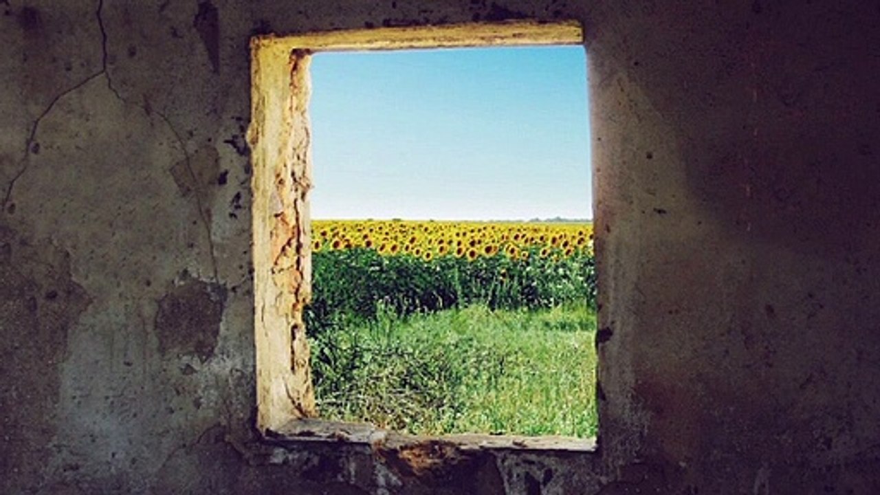 FIFTY-ONE TALES The demagogue and the demi-monde/ The giant poppy/ Roses