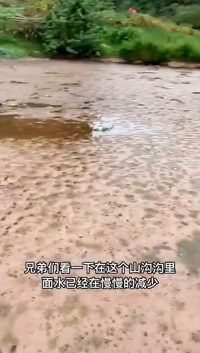 Best Fishing Video Amazing Fishing BigFishingTV Tik Tok China #shorts (1)