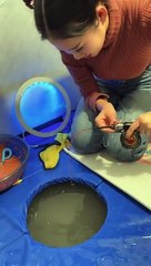 Best Fishing Video Amazing Fishing BigFishingTV Tik Tok China #shorts (3)