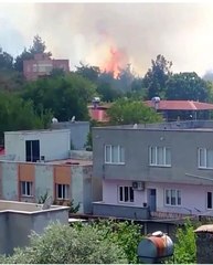 Son dakika haber: Osmaniye'de orman yangını