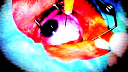 Los 7 peores temores de la infancia