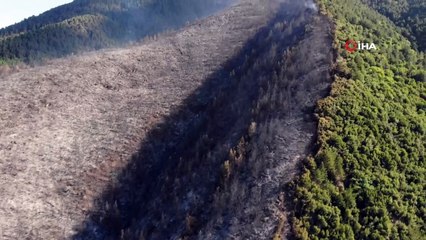Denizli’deki orman yangını kontrol altına alındı