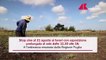 Puglia, l'ordinanza vieta il lavoro nei campi nelle ore più calde