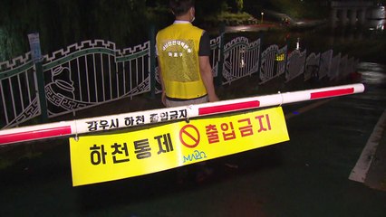 동북권 제외한 서울 지역·경기 고양·과천에 한때 호우주의보 / YTN