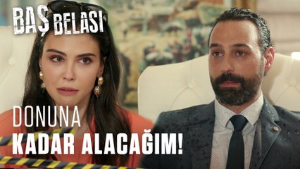 Mal paylaşımı olaylı bitti!  - Baş Belası 2. Bölüm