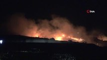 Adana'da ağaçlık alana sıçrayan anız yangını kontrol altına alındı