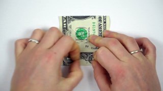 Money Origami Flower Instructions  Money Gift Idea