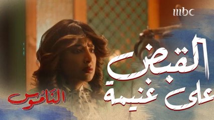 الشرطة تلقي القبض على غنيمة بسبب تسترها على طلال