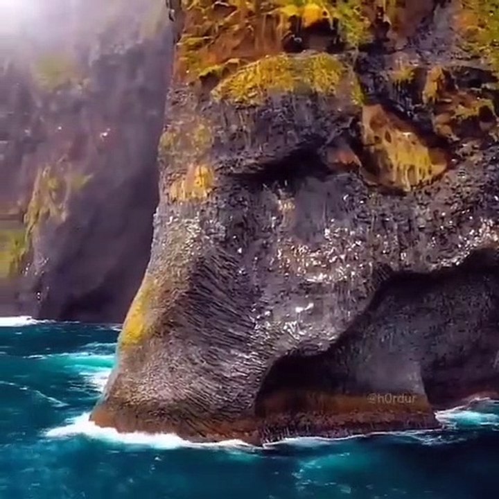 شي تاني