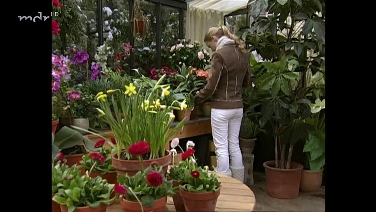 Sturm der Liebe Folge 383