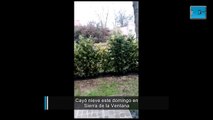 Cayó nieve este domingo en Sierra de la Ventana