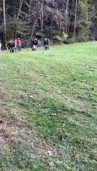 2018 10 20 17 45 09 Family Reunion