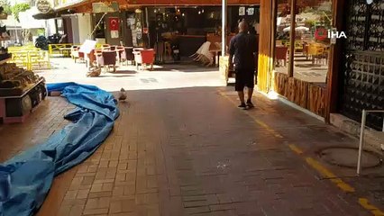 (Özel) Esnafın maskotu ‘tavuk’ sokağa pislemesin diye maskeyle bezleniyor