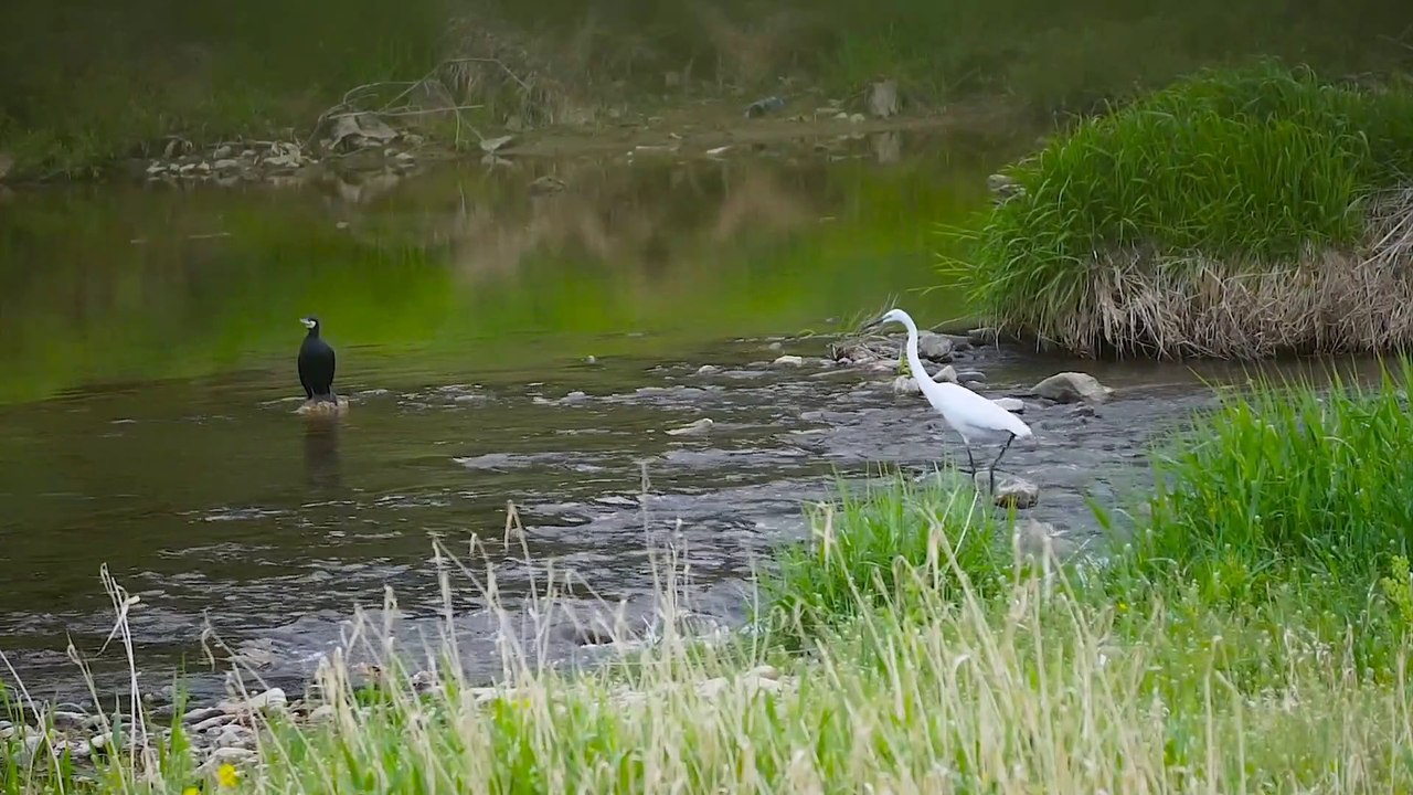 When you realize how perfect everything is, you will tilt your head back & laugh at the sky.– Buddha