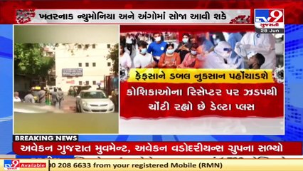 Does the new Delta Plus variant harm lung tissues more_ This is what NTAGI chief said _ TV9News