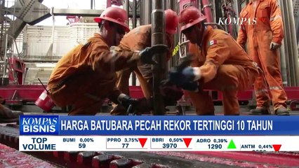 Rekor Baru! Harga Batu Bara Melejit, Tertinggi Sejak 10 Tahun Terakhir